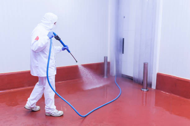 Best House Exterior Washing  in Moosic, PA